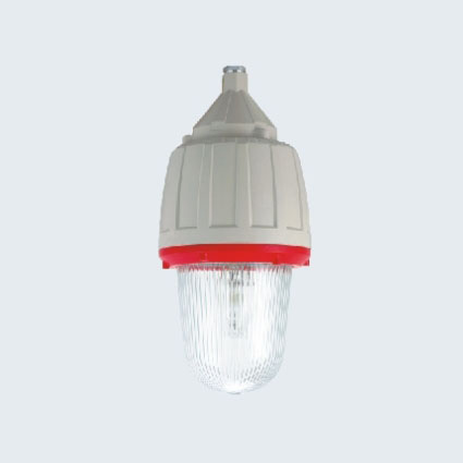 CCd92系列防爆照明燈(IIC)