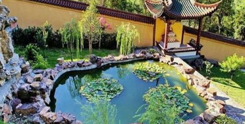 楊氏草莓生態(tài)園門票預訂攻略 價格、渠道與游玩指南
