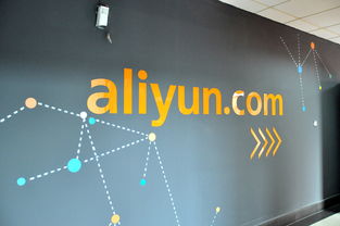 2015年全球大數(shù)據(jù)發(fā)展12項(xiàng)要聞回顧 起起落落中的行業(yè)蝶變