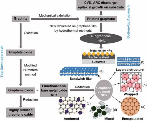 石墨烯基納米材料在生物醫(yī)學(xué)中的應(yīng)用與環(huán)境健康風(fēng)險(xiǎn) 兼論生物基材料技術(shù)研發(fā)的前景