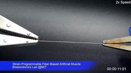 MIT研發(fā)“人造肌肉纖維” 生物基材料技術(shù)助推西部世界式超高仿真機(jī)器人成為現(xiàn)實(shí)